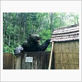三毛別 羆事件
