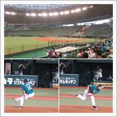 野球観戦（埼玉西武VS千葉ロ ...