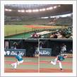 野球観戦（埼玉西武VS千葉ロッテ）