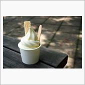 北大生協のソフトクリーム