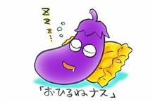 畑の花野菜、大豊作。。。 畑の花野菜、大豊作。。。