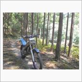 田舎の山遊び