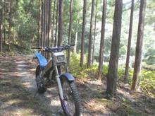 田舎の山遊び 田舎の山遊び