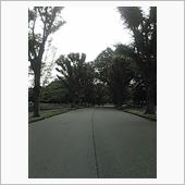 奇跡的に晴れたので