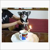 モカ、1歳