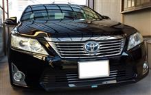 甦る銀狼！じゃなくて銀歯復活とこんなんまた、ポチりました。