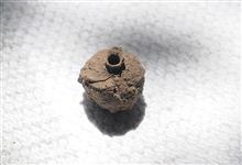 ミカドトックリバチの巣