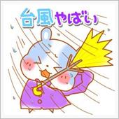 MINDULLE（ミンドゥル ...