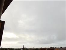 ８月２４日　雨上がりな水曜日、おはよ～♪