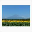 夏色の富士山ドライブ♪