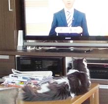 おはようございます♪