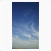 今日も暑い１日になりそうです。