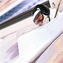 北野元 ニッセイト 教育ドック マーチ742 1974 BMW ドライビングバージョン