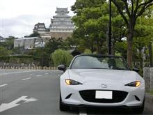 美しい白鷺と白のツーショットです! 美しい白鷺と白のツーショットです!