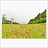 土岐（カメラ用品）　→　治部 ...