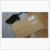 見せてもらおうか、PGのクオ ...