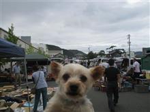 藤枝フリマ釣果アリ！②