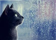 大雨なので今日は 三菱-500 と 防滴カメラで趣味三昧。 大雨なので今日は 三菱-500 と 防滴カメラで趣味三昧。