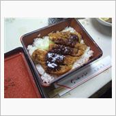 粗悪HIDバルブ