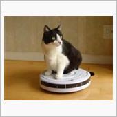 「　猫　の　、　お　手　伝　 ...