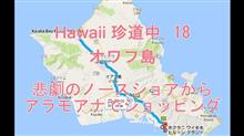 Hawaii 珍道中　18　オワフ島　悲劇のノースショアからアラモアナでショッピング 　^^!