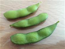 夏は枝豆