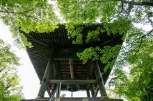平林寺で真夏の森林浴