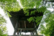 平林寺で真夏の森林浴 