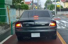 最近見ないな…(｡-_-｡)