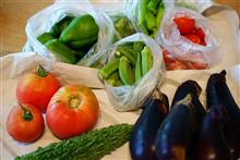 植物撮りじゃなく野菜撮り