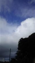 今日も暑い１日です。