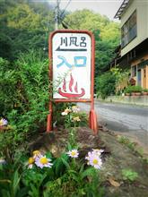 尻を焼きに群馬の秘湯へ