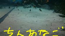 断捨離がようやく終焉