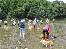 川遊びコギオフ