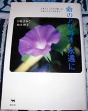 いのちのアサガオ♪観察日記　其の四