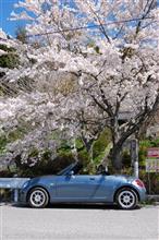 私の車遍歴⑧ くるまにょん人、コスタに行き始める。 私の車遍歴⑧ くるまにょん人、コスタに行き始める。