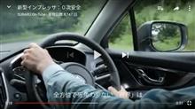 カタログを眺めています