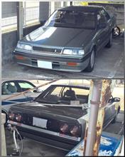 今日の天然さん…(｡-_-｡)