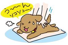 なんやかんや言ってやっぱりね、男の子だし