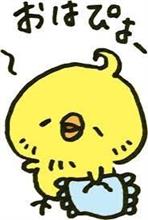 皆さん、おはようございます\(^o^)/ 皆さん、おはようございます\(^o^)/