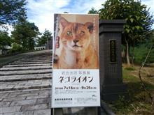 一山越えて猫を見に