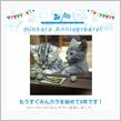 祝・みんカラ歴5年！