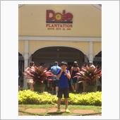 ハワイ2日目 Dole PL ...