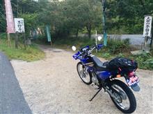 ちょいアタックな？山城付近林道