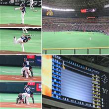 野球観戦（福岡ソフトバンクVS埼玉西武）