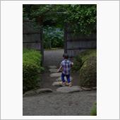 紫陽花の日々。　後編