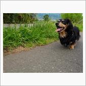  週末のゆずと私と…日曜日編 ...