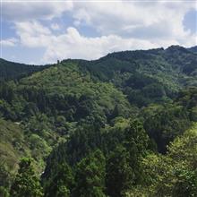 吉野山まで