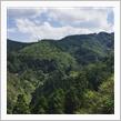 吉野山まで