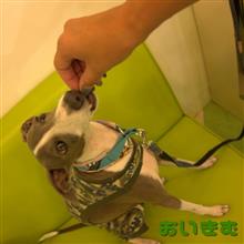 タントさんの息子と初対面。。。(;^ω^)